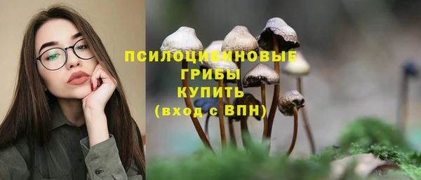 бошки Алексин