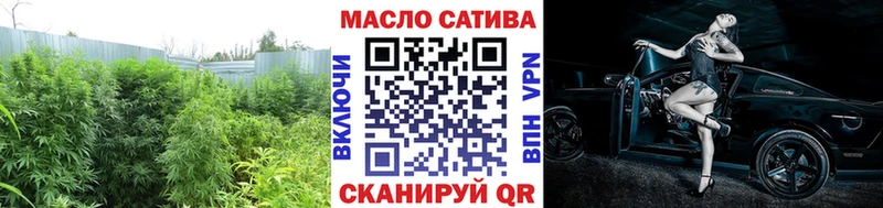 даркнет сайт  omg как зайти  Дистиллят ТГК THC oil  Бердск 