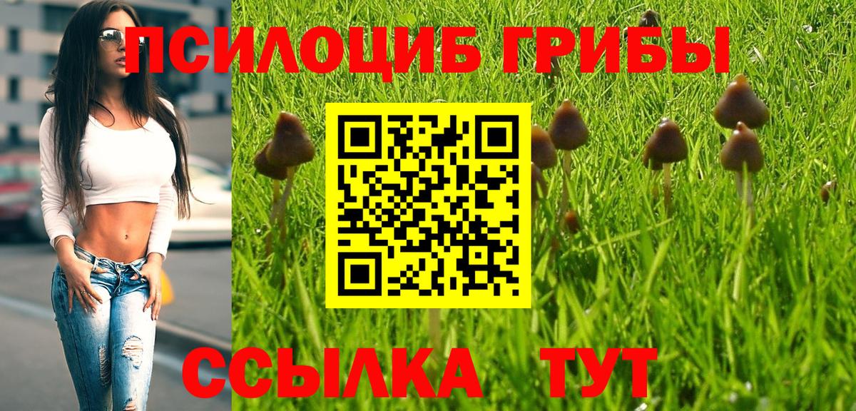 Бердск  Галлюциногенные грибы мухоморы  Вход с VPN 