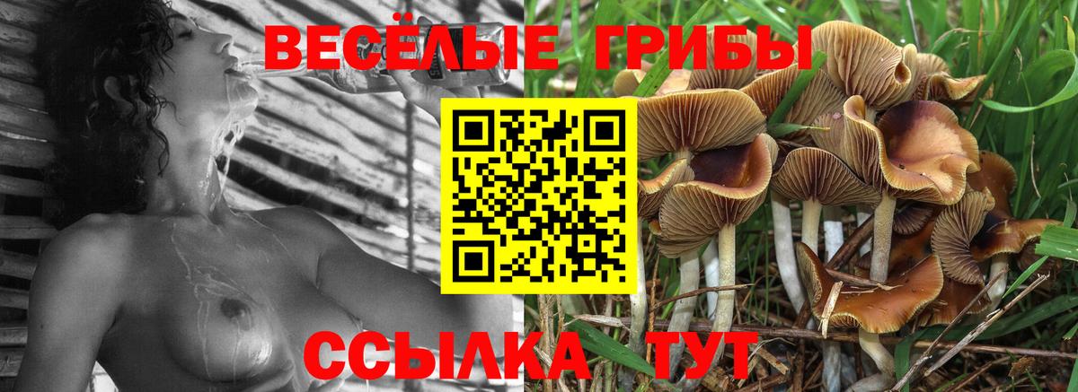 Псилоцибиновые грибы MAGIC MUSHROOMS Бердск