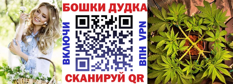 купить  цена  Бердск  Канабис Ganja 